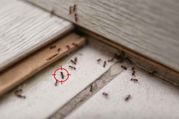 Best Best Pest Control Companies  in Riverdale, NJ