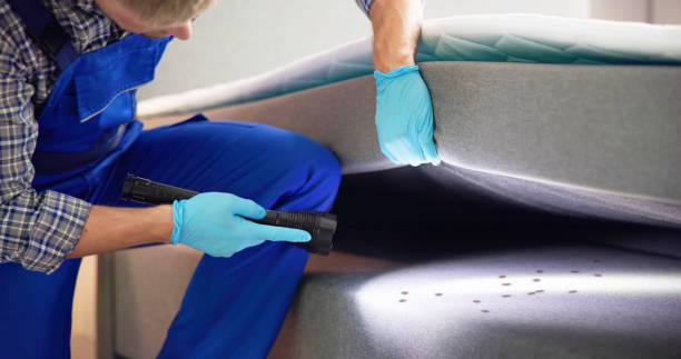 Best Commercial Pest Control Services  in Riverdale, NJ