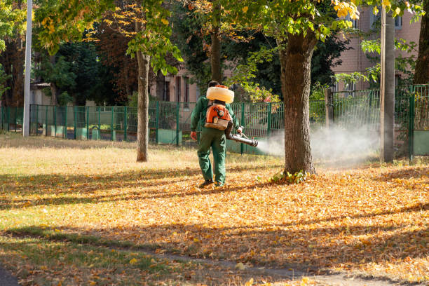 Best Insect Control  in Riverdale, NJ