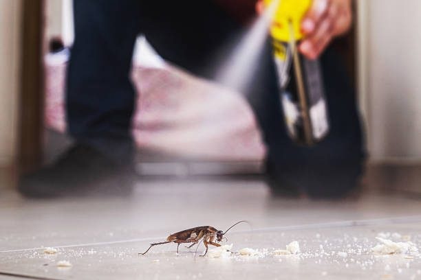 Best Residential Pest Control  in Riverdale, NJ