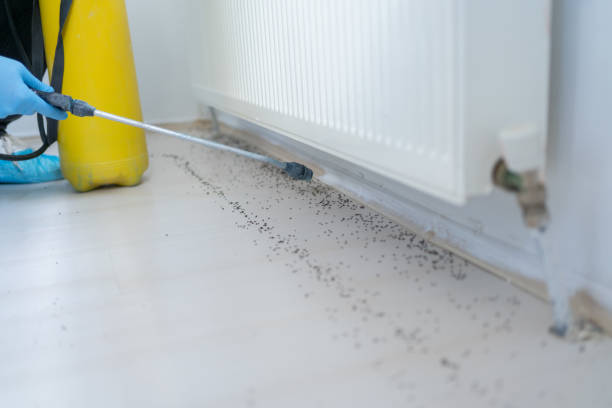 Best Spider Control Near Me  in Riverdale, NJ