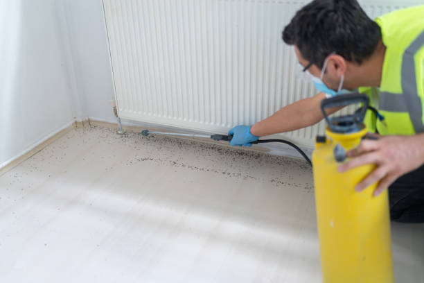 Best Affordable Pest Control Services  in Riverdale, NJ