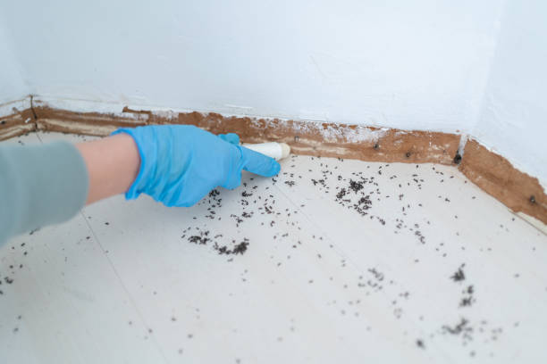Best Pest Inspection Near Me  in Riverdale, NJ