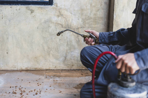 Best Affordable Exterminators  in Riverdale, NJ