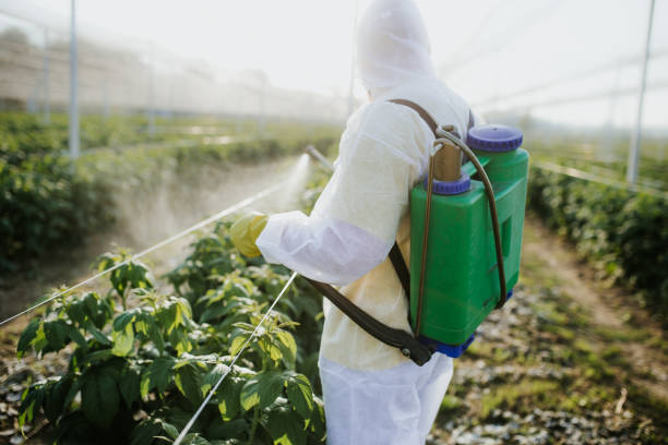 Pest Prevention Services in Riverdale, NJ